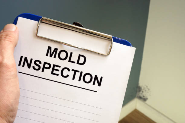 Best Mold-Related Health Consultation  in South Whitley, IN